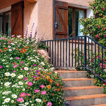 Maison Provencale Bormes-les-Mimosas